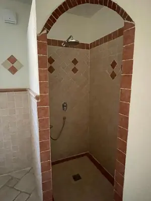 a shower in a bathroom with a brick wall at Maison d'hôte en Provence avec petit déjeuner in Mollégès