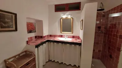 a bathroom with a sink and a shower at Roussillon House in Roussillon