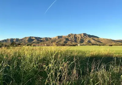 a field of grass with mountains in the background at Lodge en Provence in Mouriès