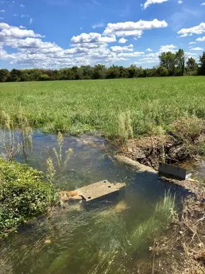 a box in the water next to a field at Lodge en Provence in Mouriès