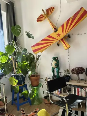 a room with plants and an airplane on the wall at Gite la Muscadelle l Isle sur sorgue in LʼIsle-sur-la-Sorgue