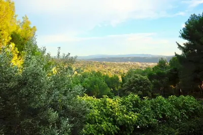 a view of the city from the trees at L'Observateur in Aix-en-Provence