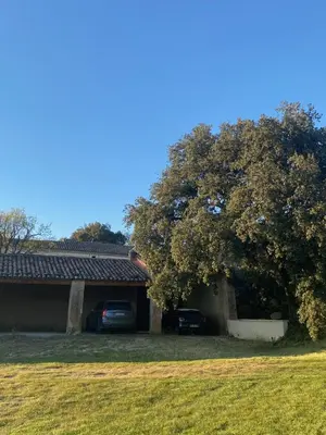 a house with two cars parked next to a tree at Le Rocan Roux in Aubignan