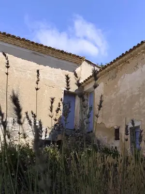 an old building with weeds in front of it at Le Rocan Roux in Aubignan