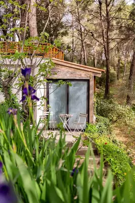 a tiny house in the woods with a window at Le Dandy in Aix-en-Provence