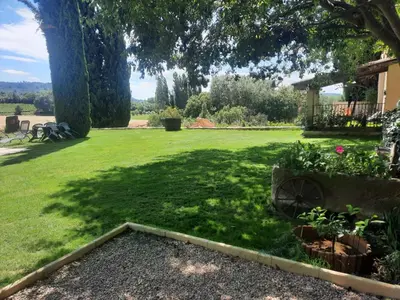 a shady yard with a large tree and some plants at l'Estagnol in Ansouis