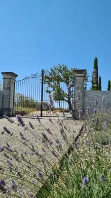 a garden with purple flowers in front of a fence at Domaine des Hauts de Riganel in La Bastide-des-Jourdans