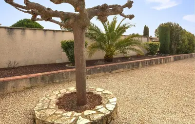 a tree in a stone circle in a driveway at Frutiere 1 in Caromb
