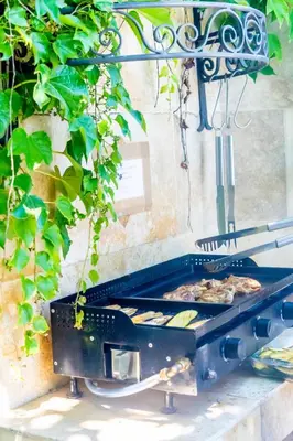 a grill with a pizza on top of it at Mas des Agranas in Sénas