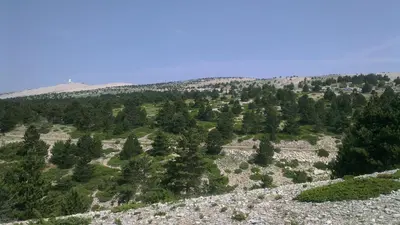 an aerial view of a mountain with trees at Lou pichoun studio au coeur d'un village provençal in Gargas