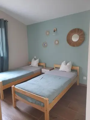 a bedroom with two beds and a mirror on the wall at Gîte La Chouette Hulotte classé 3 étoiles Spa, Mt Ventoux, Parc Spirou in Flassan
