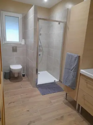 a bathroom with a shower and a toilet at Gîte La Chouette Hulotte classé 3 étoiles Spa, Mt Ventoux, Parc Spirou in Flassan