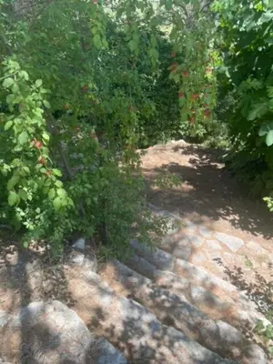 a dirt path with plants and rocks and bushes at Le Charmeur - Le Chalet Attrape-Coeur in Aix-en-Provence