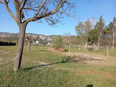 a tree in the middle of a field with a goal at Mobil-Home Provence in Cheval-Blanc