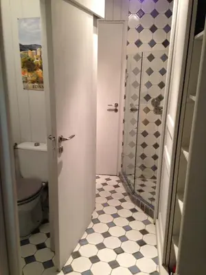 a bathroom with a shower and a toilet at Campanina in Bonnieux