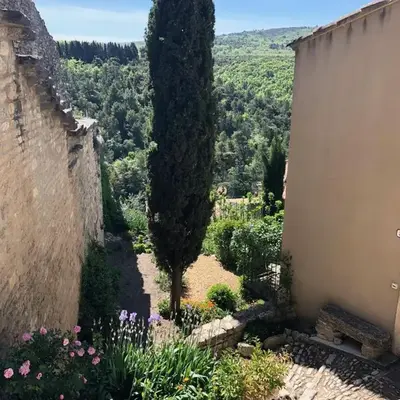 Campanina
