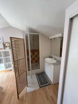 a bathroom with a shower and a sink and a toilet at Mas de charme provencal in Cavaillon
