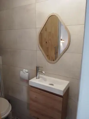 a bathroom with a sink and a mirror at Studio à la campagne in Éguilles