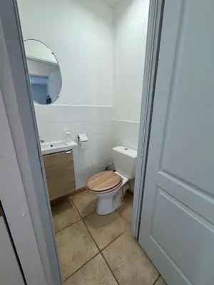 a bathroom with a toilet and a sink and a mirror at Chez DOMI in LʼIsle-sur-la-Sorgue
