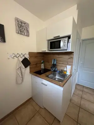 a small kitchen with a sink and a microwave at Chez DOMI in LʼIsle-sur-la-Sorgue