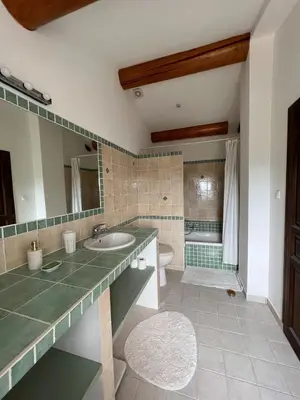 a bathroom with a sink and a tub at Le Mas de Quatremonts - Your refuge in Provence in Bonnieux