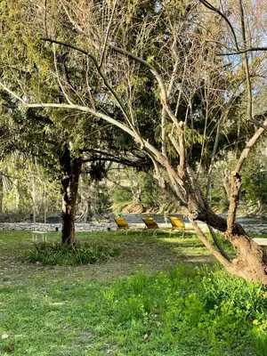 a group of park benches sitting under a tree at House By The Sorgue River With Private Access in Fontaine-de-Vaucluse