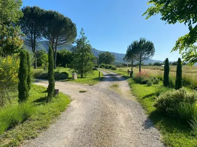a dirt road with trees on both sides at Bright Villa In The Heart Of Luberon in Céreste