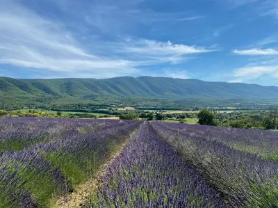 a net in the middle of a field at Historic Bastide With Private Pool In The Luberon in Céreste