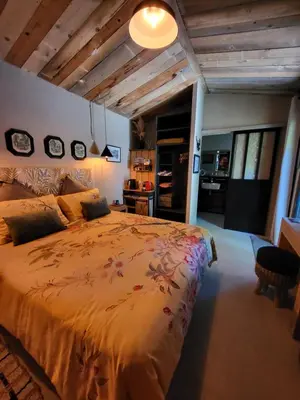 a bedroom with a large bed in a room at le cabanon du clos in LʼIsle-sur-la-Sorgue