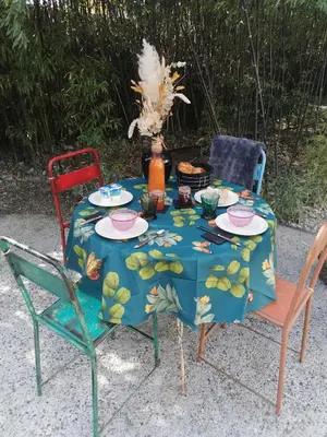 a table with a blue table cloth and two chairs at le cabanon du clos in LʼIsle-sur-la-Sorgue