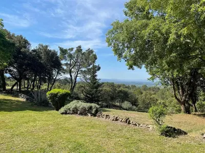 a field of grass with trees and a stone wall at Gîte Lavande vue Luberon 33 hectares piscine Spa Sauna au cœur de Provence in Saumane-de-Vaucluse