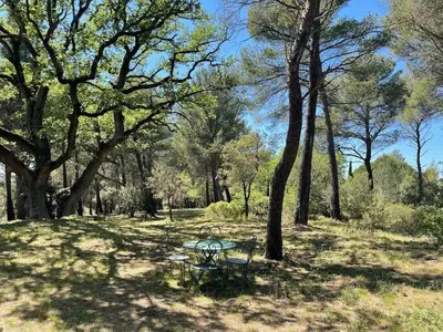 a picnic table in a park with trees at Gîte Lavande vue Luberon 33 hectares piscine Spa Sauna au cœur de Provence in Saumane-de-Vaucluse