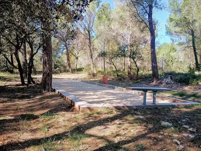 a bench on a boardwalk in a park with trees at Gîte Lavande vue Luberon 33 hectares piscine Spa Sauna au cœur de Provence in Saumane-de-Vaucluse