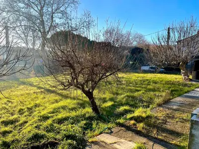 a small tree in a field of grass at Grand Appartement Provençal in Manosque