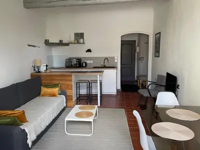 a living room with a couch and a kitchen at Studio avec balcon sur cour in Aix-en-Provence