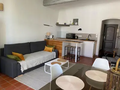 a living room with a couch and a kitchen at Studio avec balcon sur cour in Aix-en-Provence