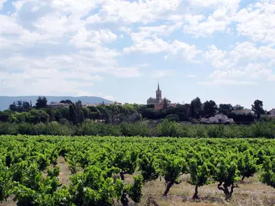 a field of vines with a church in the background at Holiday Home Côté Place by Interhome in Villars