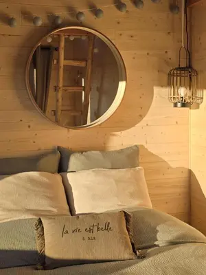 a bedroom with a mirror and a bed with pillows at La Cabane Aixoise Piscine & Jacuzzi in Aix-en-Provence