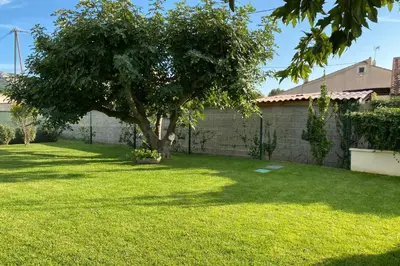 a yard with a tree in the middle of it at La Maison de Gari spacious house with swimming pool and beautiful exterior in Les Taillades