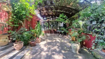 a room filled with lots of plants in a building at La Verrière des Songes in Robion en Luberon