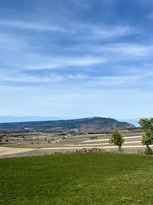a green field with a road in the distance at 15 rue des pierres seches in Ferrassières