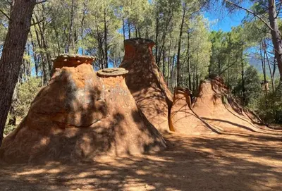 a group of tree stumps in a forest at Charmant Appartement en Provence in Caromb