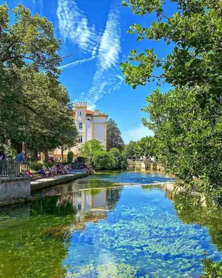 a river with trees and a building in the background at Studio Rdc proche Quai Rouget in LʼIsle-sur-la-Sorgue