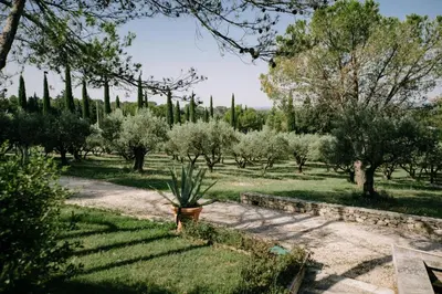 a garden with trees and a potted plant at The Aviary - Pernes-les-Fontaines in Pernes-les-Fontaines