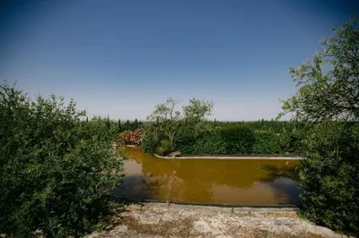 a pool of water in a field with trees at The Aviary - Pernes-les-Fontaines in Pernes-les-Fontaines