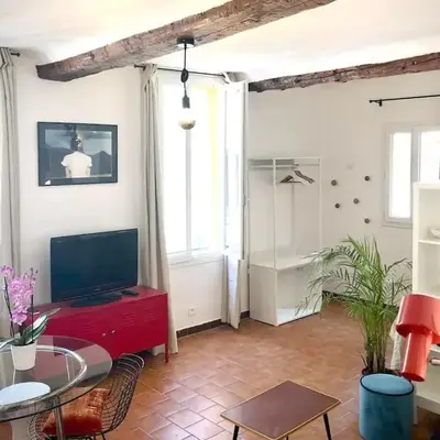 Appart de charme CLIM 37m2 T1 Hôtel de ville