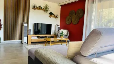 a living room with a couch and a tv at Le Secret des Pins in Pernes-les-Fontaines