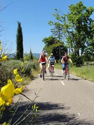 a group of people riding bikes down a road at Le Refuge des Cigalons in Cavaillon