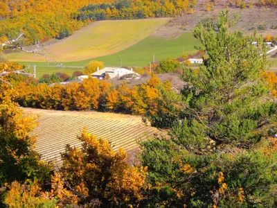 an autumn view of a farm in the hills at Chambre d'hôte dans ferme provençale in Banon