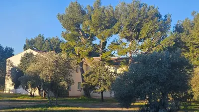a white house with trees in front of it at La Cayon Au coeur des oliviers en Provence in Pélissanne